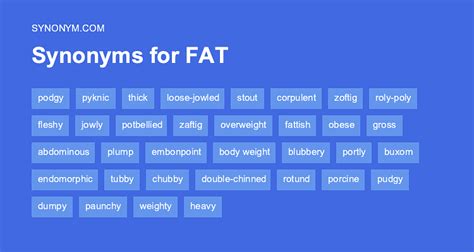 fat synonym|synonyms for fat person.